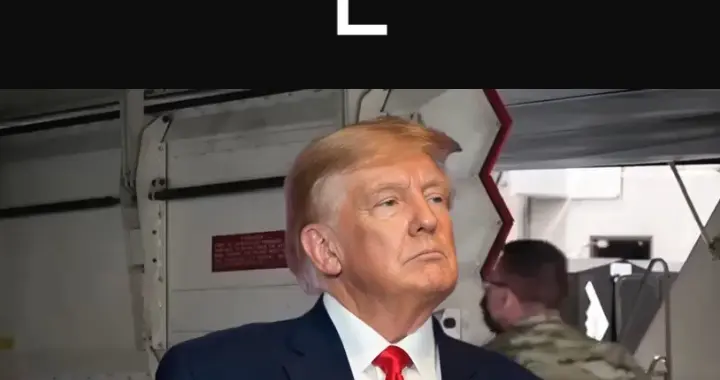 美学者直言：全世界除自己看不清，都知道抱紧美国，只会引火烧身