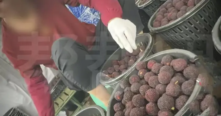又一水果塌房，泡8000倍甜味剂，一天卖出5000斤，工人：我不敢吃