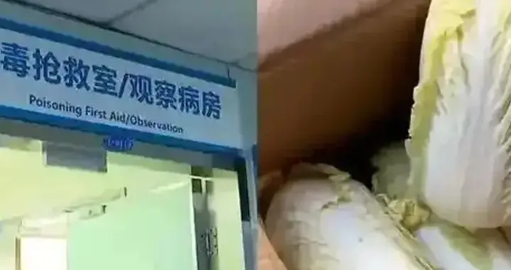 脊背发凉！夫妻吃网购娃娃菜中毒，警方揪出真凶：身边人最致命！