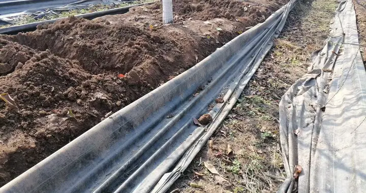 大樱桃11月落叶前农事要点