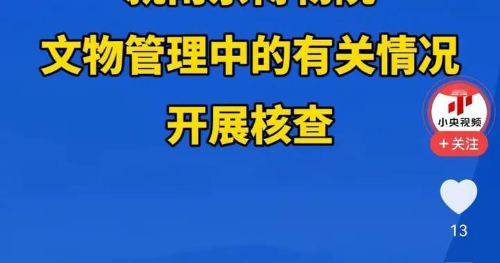 南博文物拍卖风波最新进展，国家文物局介入调查，有三点值得思考