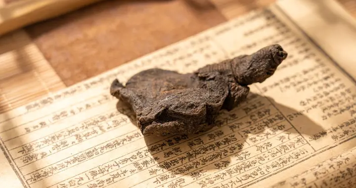 老中医告诉你，冬天这样做把抽动症压得稳稳的，方法虽土但很有用