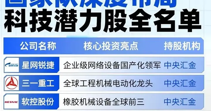 科技兴国！A股国家队积极布局的科技潜力股曝光！