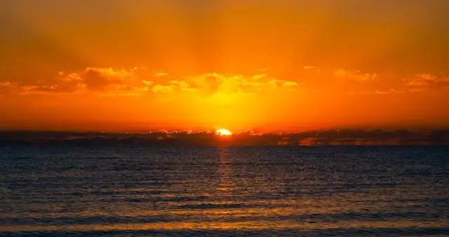 王者的孤独，狮子座