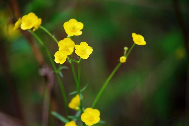 五月二号 云顶竹海