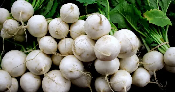 对肾特别好的食物，现在吃正是时候！可惜很多肾友却不敢吃