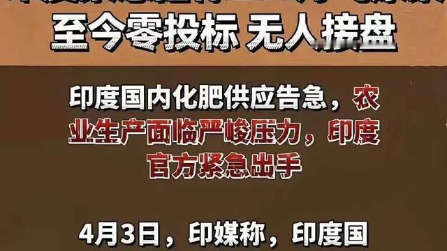 彼得堡的肥天鹅：莫迪又可以甩锅说，东大敌