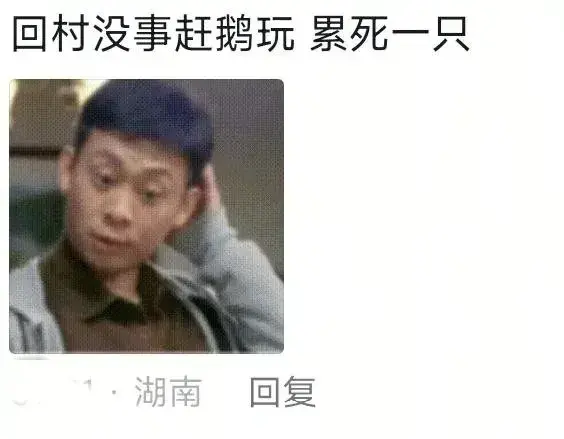 笑不活了！大学生放假后，家里最没用的东西把家里最有用的搞坏了