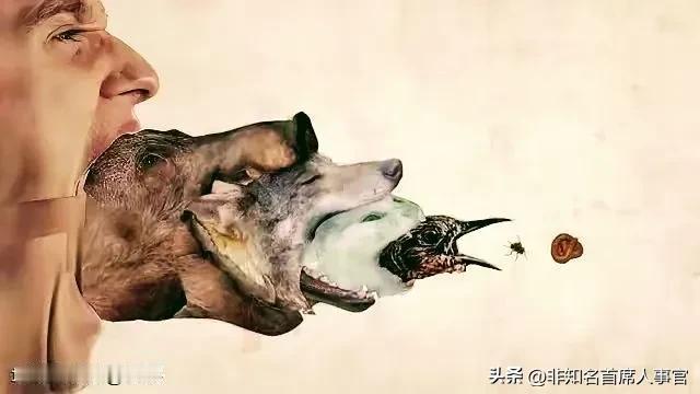 非知名首席人事官：【再不摁住量化，股市就