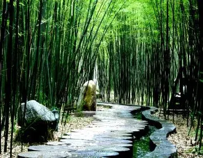 向“绿”而行 莅“临”生金 ——看“两山”理念在沂蒙的实践伟力