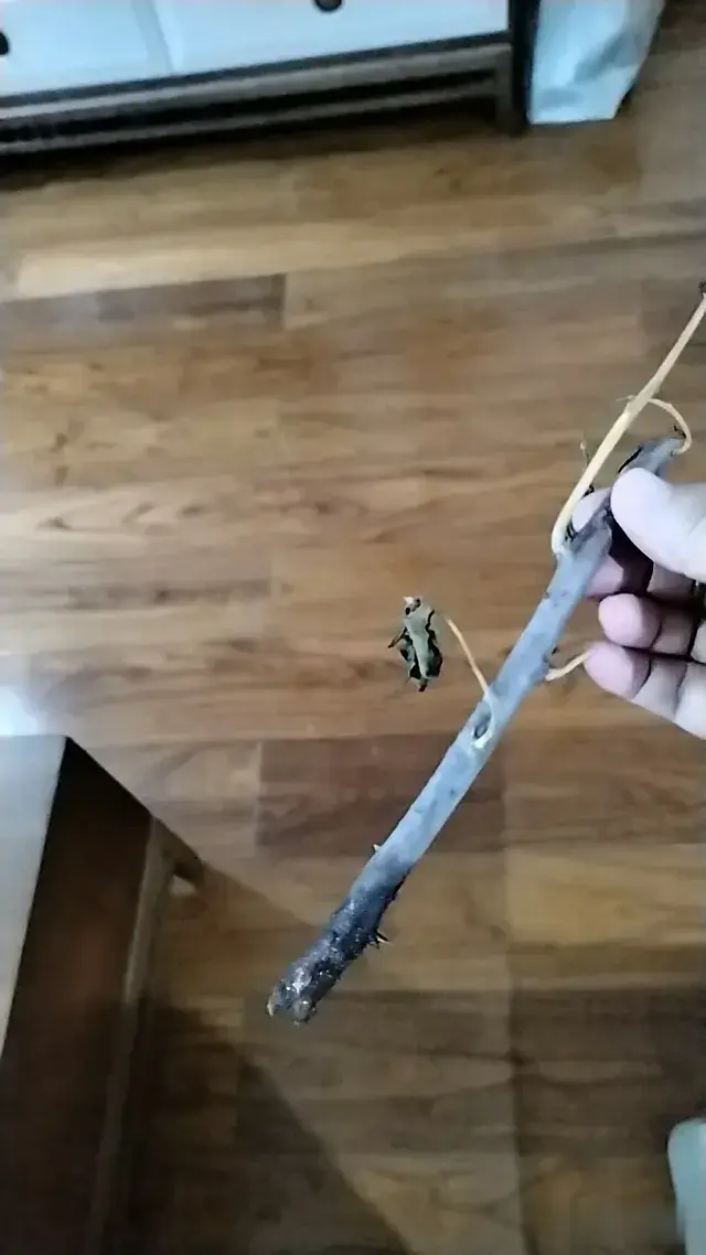 取消仅退款，现世报马上到！都来瞧瞧这家商家，到底有多无底线