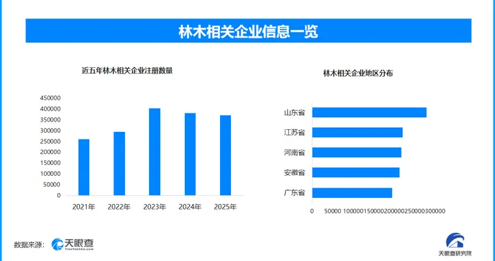 从育林到兴材：林木与木材产业的绿色转型与协同发展