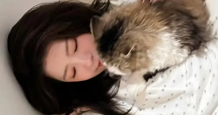 何蓝逗私服壁纸：白色唯美小清新。