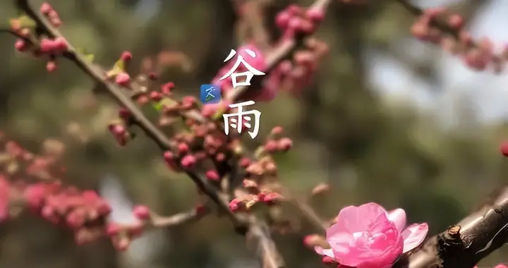 谷雨时节的伊犁画卷——洪亮吉《伊犁纪事诗四十三首·其七》赏析