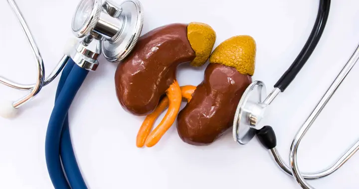 慢性肾脏病筛查多久做一次？不同人群，检查间隔不一样