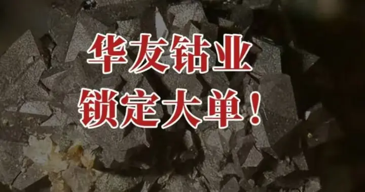 华友钴业，锁定大单！