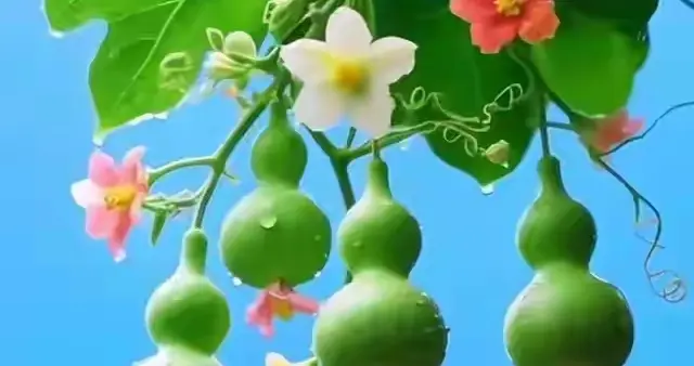 老人带娃从不是义务？4个真相道破藏在岁月里的深情