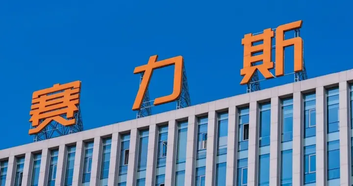 被错杀的赛力斯