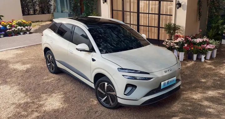 配置高动力强，这台海狮06能接棒宋PLUS再创百万战绩吗？