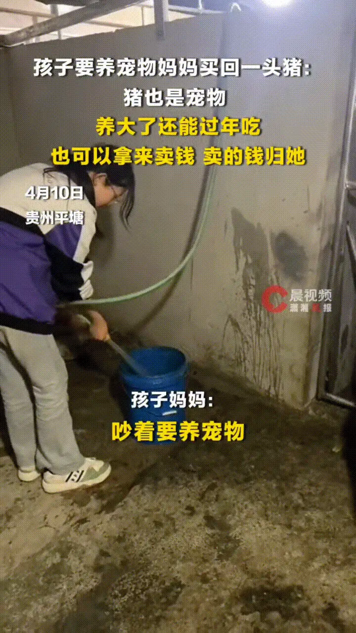 谷军燚順順發發：女儿一直吵吵着要养宠物