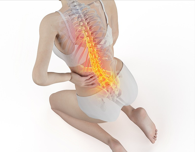 久坐腰部疲累沉，居家锻炼焕新神！