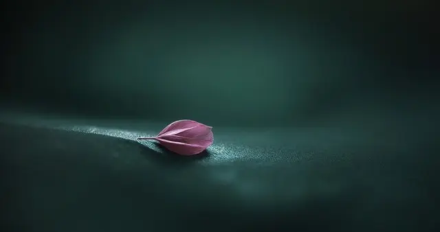 我们好像什么都能理解，可什么都难以释怀！