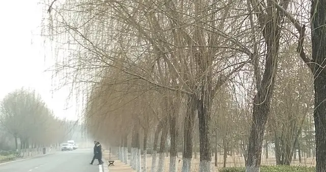 倒春寒最狠的刀，藏在你的衣柜里