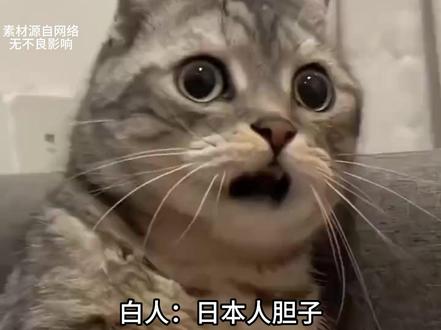 开口的瞬间，这口音会不会太正宗的点