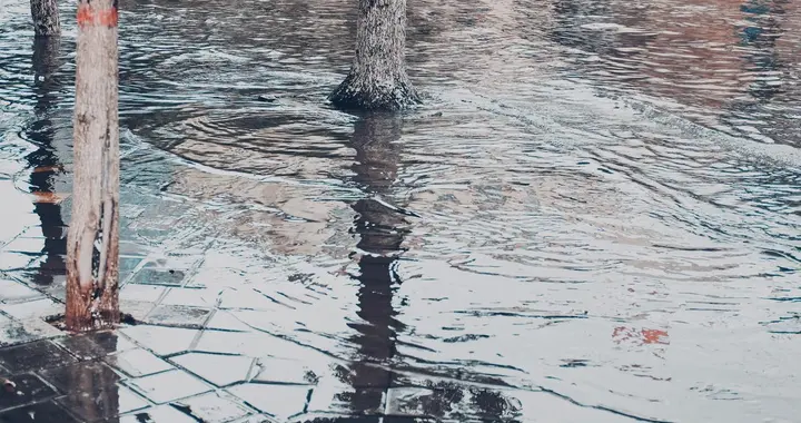 四月初二定涝旱，时至四月初二，今夏雨水旺不旺一看便知