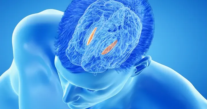 著名演员何晴因脑瘤去世，年仅61岁！如何才能预防脑瘤的发生？