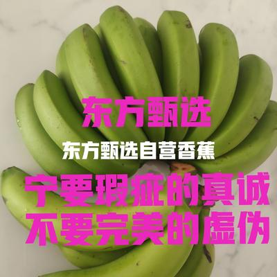 开心平淡的幸福：“宁要瑕疵的真诚，也不要