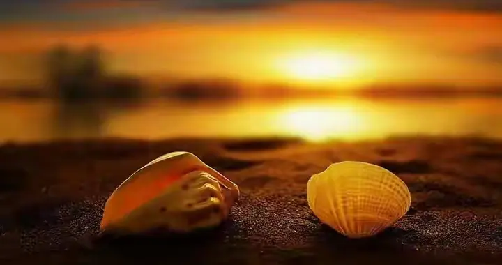 你越帮越糟？别再被这些陷阱套路了，情感“救人”真相大揭秘！”