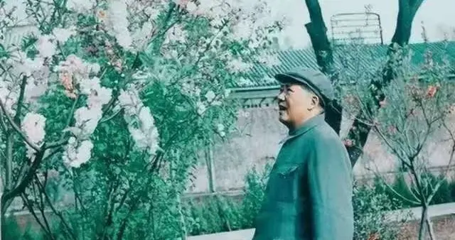 他12岁当儿童团长、14岁入伍、保卫毛主席安全15年，99岁去世