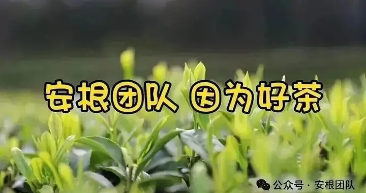 让茶叶回归本真