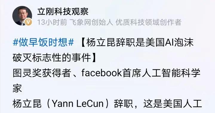 项立刚：美国AI泡沫破灭的替罪羊