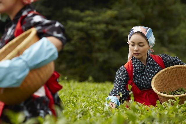 探秘中国乡村：农民真实故事——泥土里长出希望，烟火中绽放春天