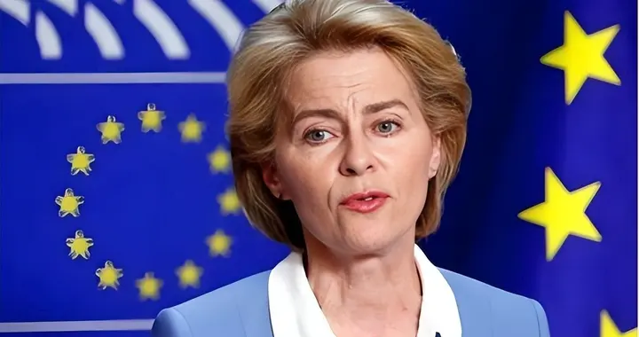 德媒：安世半导体才值几分钱？欧洲没抢对地方，真正值钱的是中国