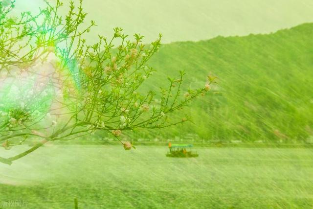 水瓶座：浮生岁月春回人间，看清一些事却不要看轻自己