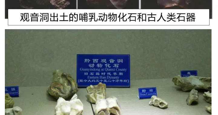 贵州发现了一处古人类遗址，出土石器数量惊人，和周口店并列