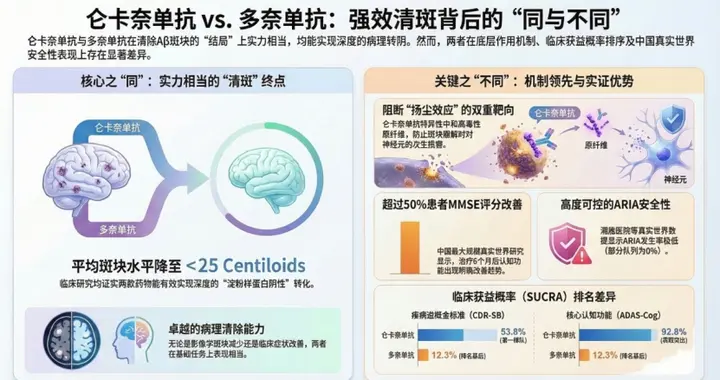 仑卡奈单抗和多奈单抗的“同与不同”：强效清斑基石上的优选逻辑