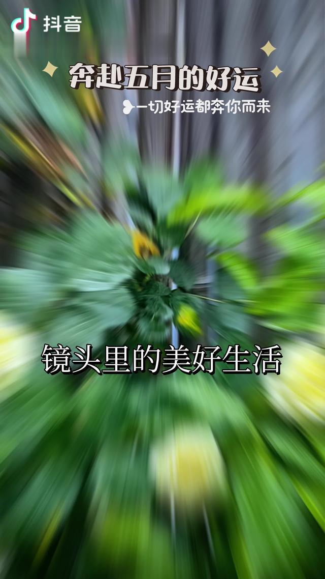 现代诗（原创）：《春天吹过的碉堡》