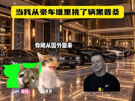 当我从豪车堆里挑了辆黑普桑