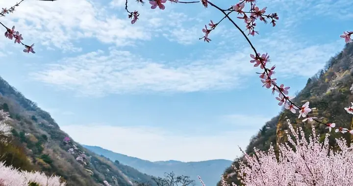 西安出发三凤山桃花谷一日游攻略，3月中旬至4月初为盛花期！