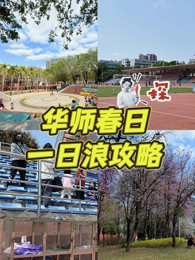 广州华师春日一日浪攻略～打卡Go