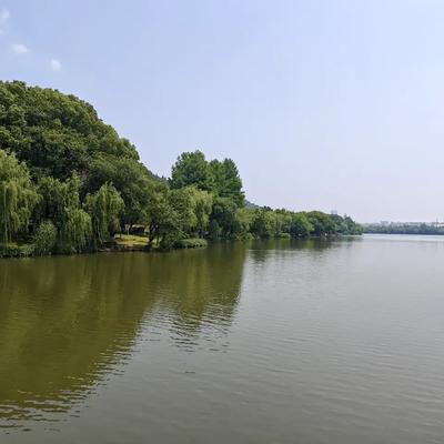 自由的飞鱼鱼：湘湖