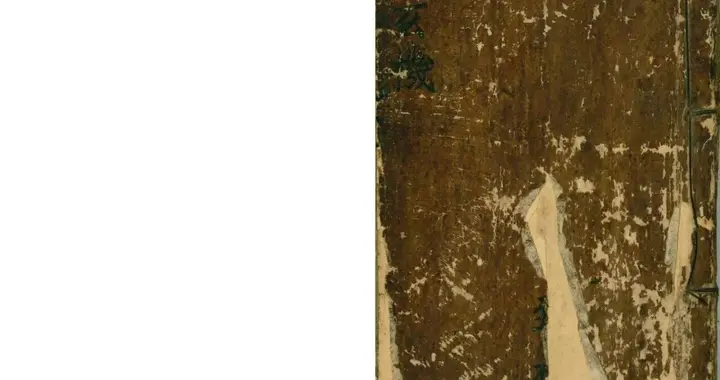 《清微灵宝雷霆诸天满盘珠玄机秘旨》