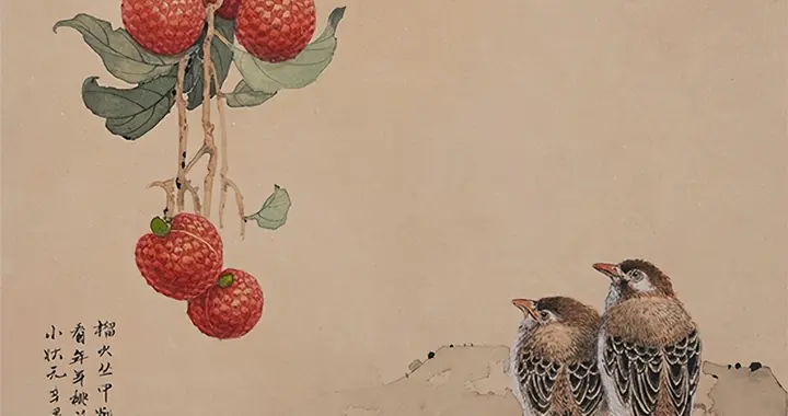 六月南风荔子丹 一勺琼浆贮绛霞——元代诗人张昱咏荔枝画诗赏析