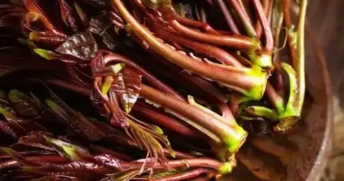 香椿大量上市！医生反复强调：高血压患者吃香椿，牢记这几点！