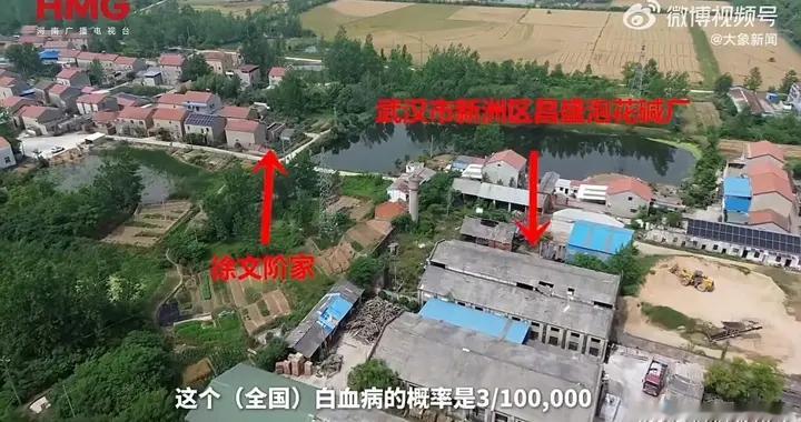 武汉一村585人62人患癌，多年污染背后真相令人揪心
