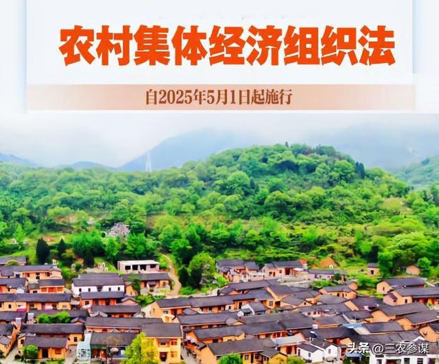新法为农村权益松绑！这五类人也能享农村红利，背后原因太暖心